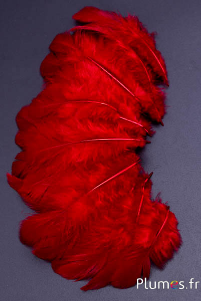 Henne - 5-7 cm - karminrot